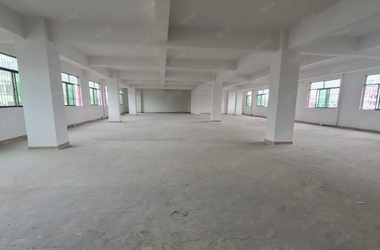 特价十元   可以做电池的标准厂房