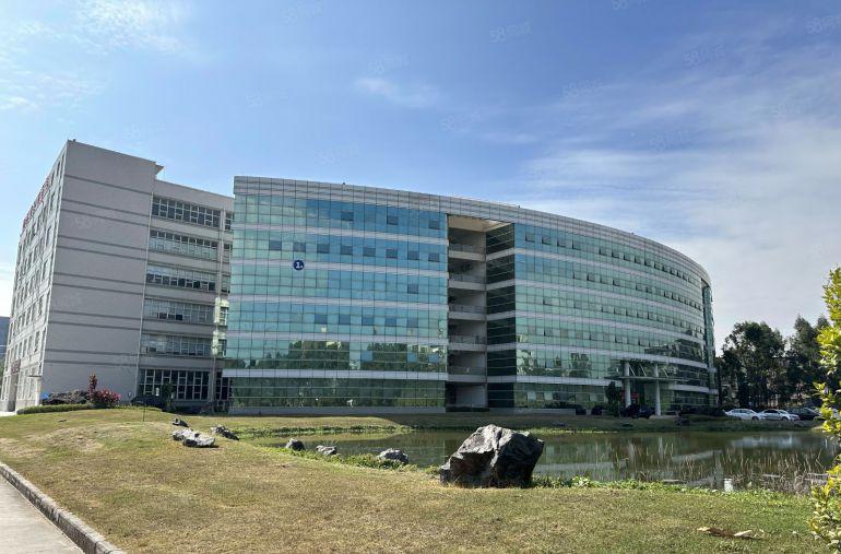 免租期6个月，12元起！单层面积3000平塘厦一房东2万直租