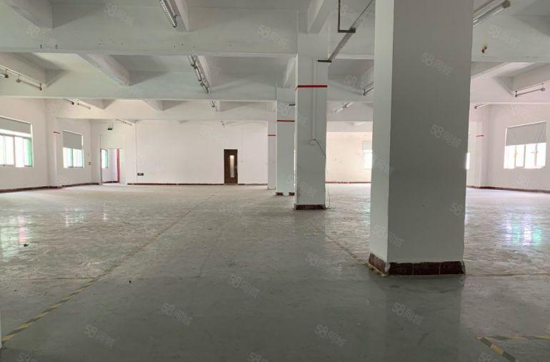 塘厦莆心湖楼上1100平实际面积出租，简易干净，适合电子贸易