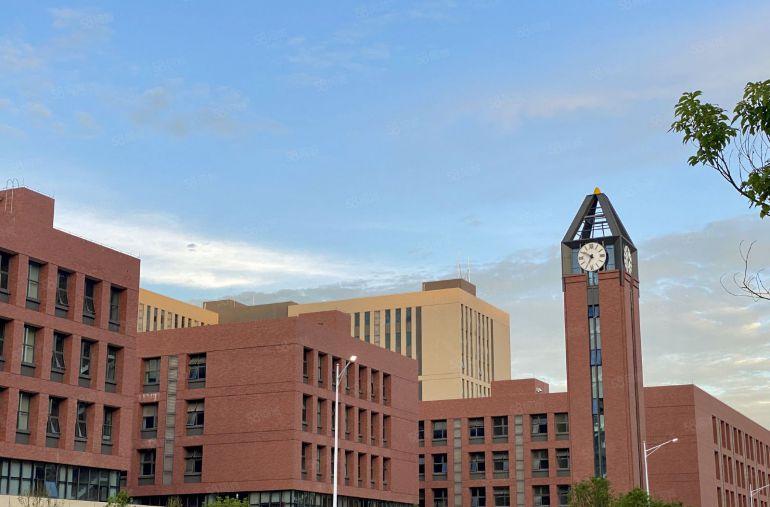 塘厦全新高端厂房，人货车三分流花园式园区，可办环评，大坪高速