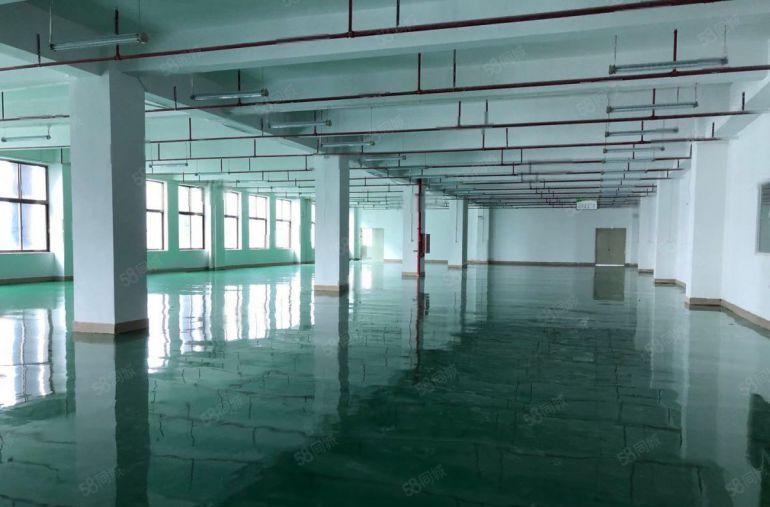 原房东现成装修 138产业园楼上500平办公室仓库厂房出租