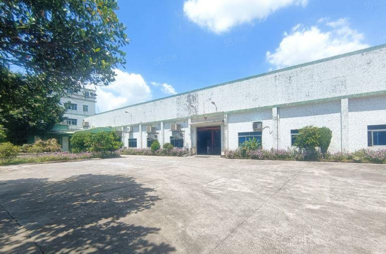 塘厦本地人独门独院厂房出租，形象好，带行车现成装修办公空地大