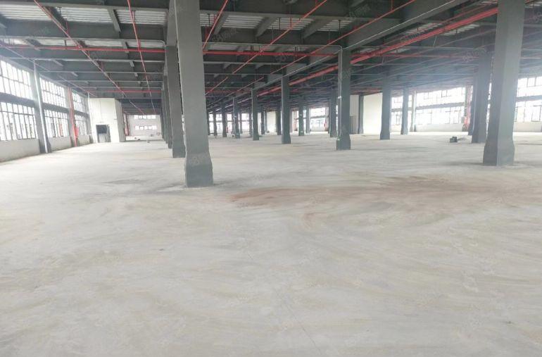 塘厦蛟乙塘新出独门独院500至2万平方特价厂房仓库出租