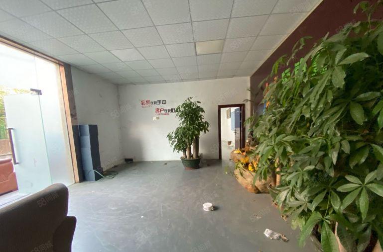 塘厦桥陇砖墙单一层4000平方！滴水8米！中间无柱子易规划