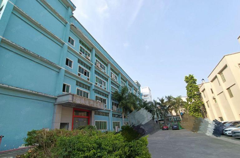 塘厦凤凰岗新出原房东楼上1500平带豪华装修无需转让费可拎包