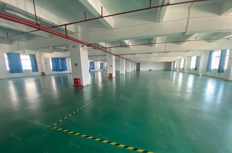 原房东直租标准3楼2680平方！无公摊！地坪漆精装修