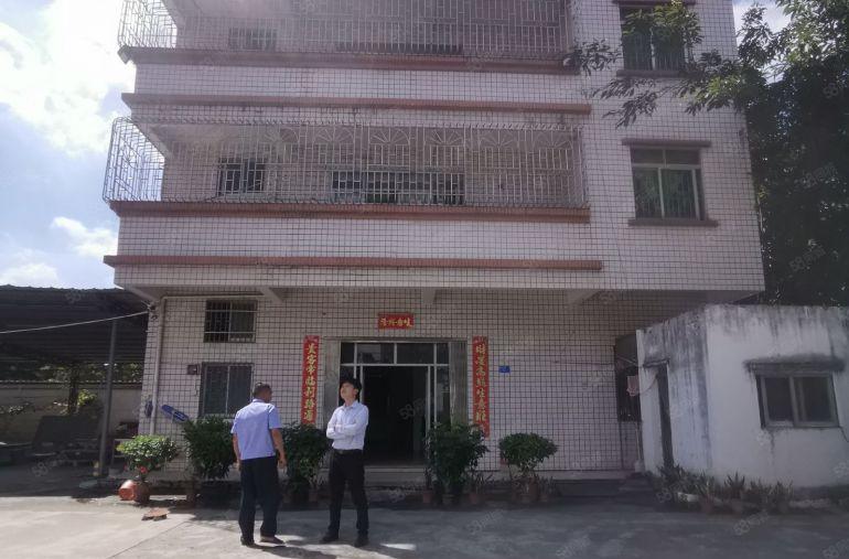 塘厦蛟乙塘原房东钢构独院3180平，滴水9米电可过户靠高速