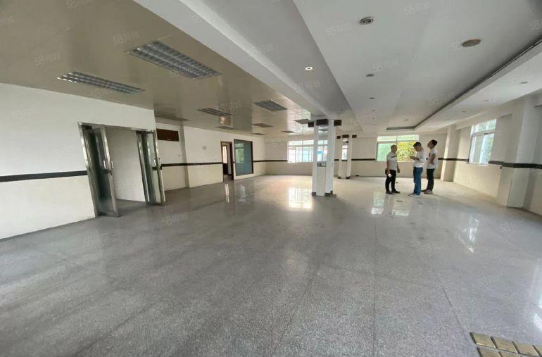 塘厦四村原房东直租标准3楼350平方，低价出租，现成豪华装修