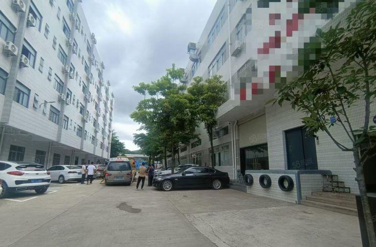 大坪高速附近原房东一二楼各1200平厂房出租，合计2400平