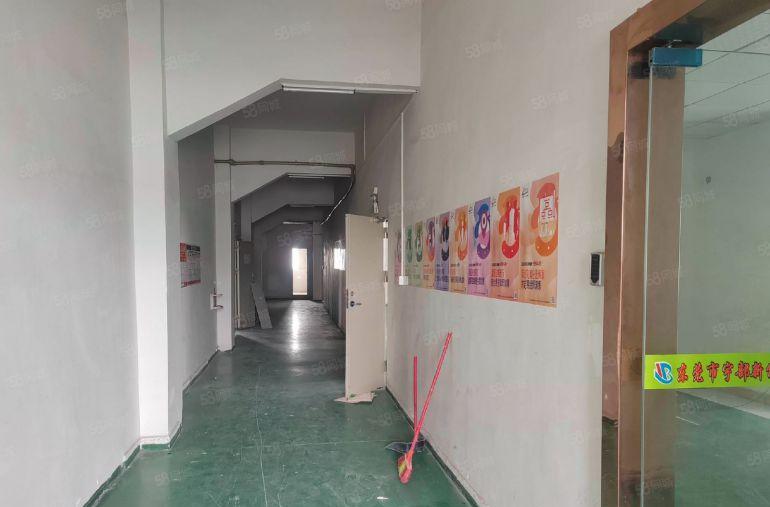 东莞塘厦原房东标准厂房3楼800平方米特价12元平方米