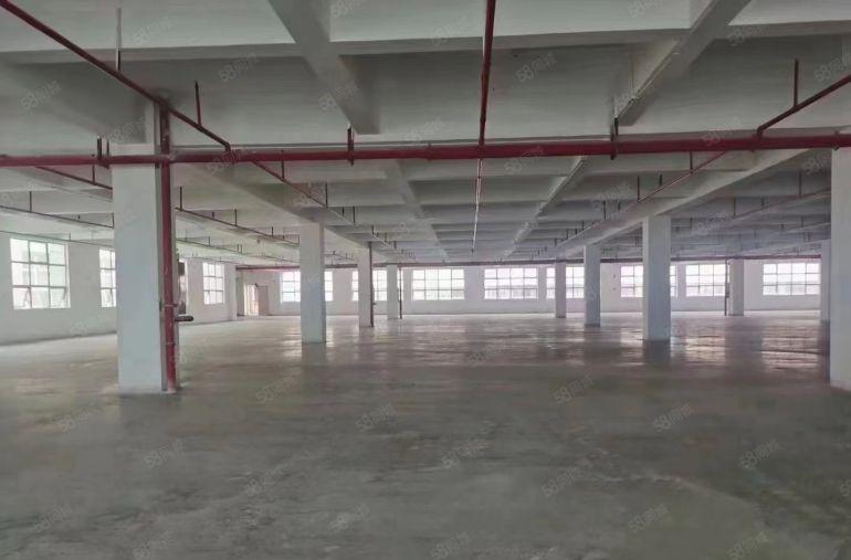 塘厦镇大平原房东花园独门独院红本厂房招商