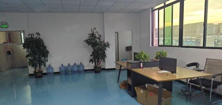 塘厦龙背岭现成精装修电子厂房800平方水电齐全全新地坪漆