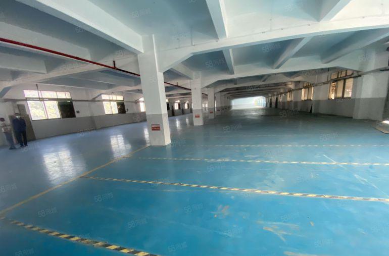 塘厦石潭埔独院新出标准2楼2200平方，现成精装修，水电齐全