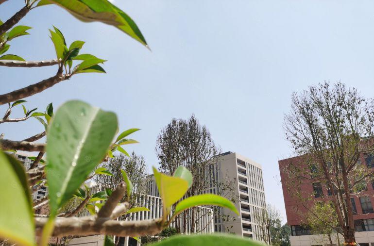 东莞塘厦塘厦镇35万平产业园招商