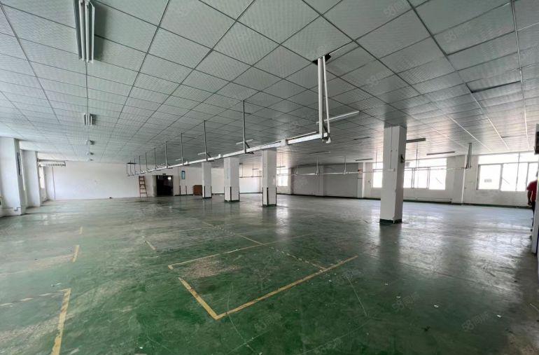 塘厦工业区新空楼上1250平标准厂房，精装修水电齐全低价出租