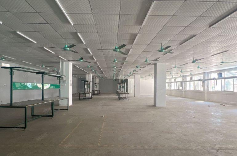 塘厦镇中心标准楼上1600平方，现成精装修，水电齐全！