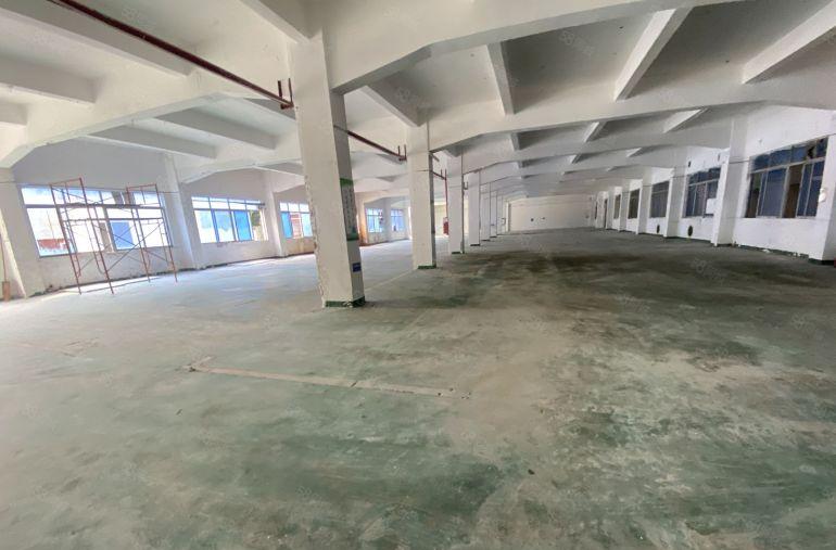 塘厦沙湖独院标准1楼1700平方，大小面积可分租，主线到位！