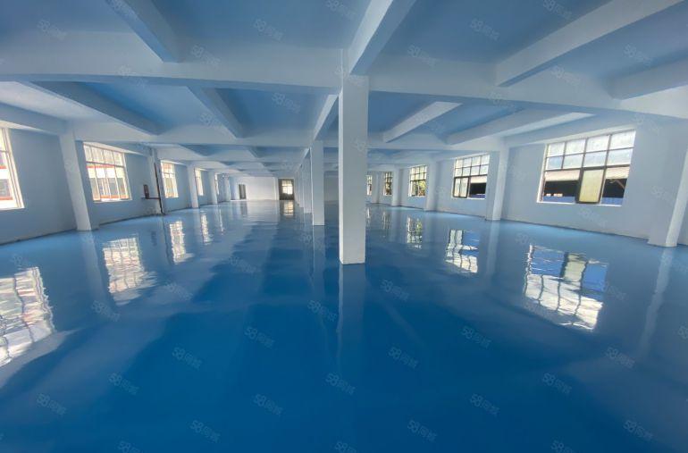 塘厦莆心湖独院标准3楼1420平方，全新地坪漆装修，主线到位