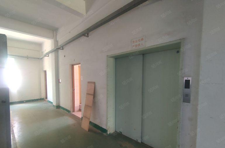 15块起分塘厦外环高速口原房东独院6000平实际面积出租