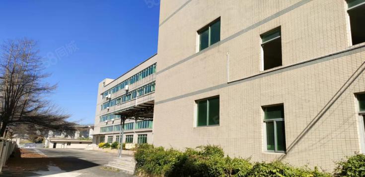 塘厦大道深圳外环高速出入口旁新出一楼标准厂房400平方