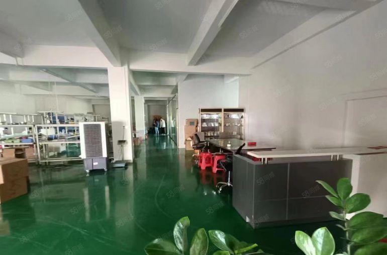 塘厦蛟乙塘一手房东一楼380平出租，内带装修水电办公室