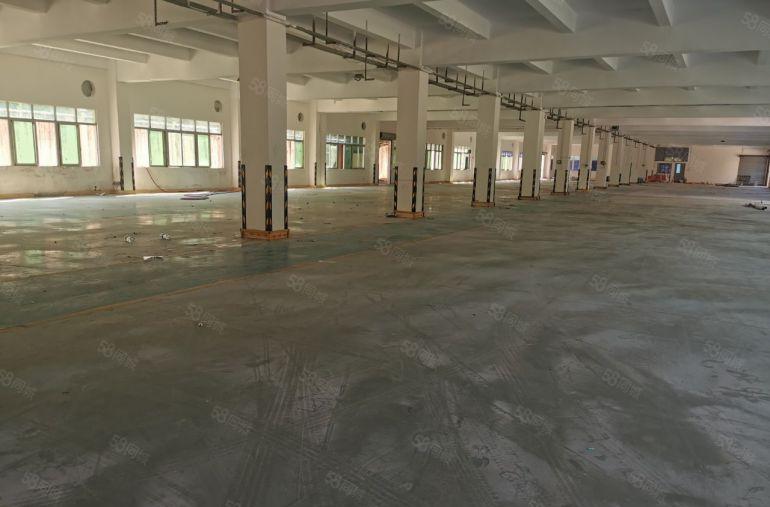 寮步新出（一手原房东）标准独院12000平