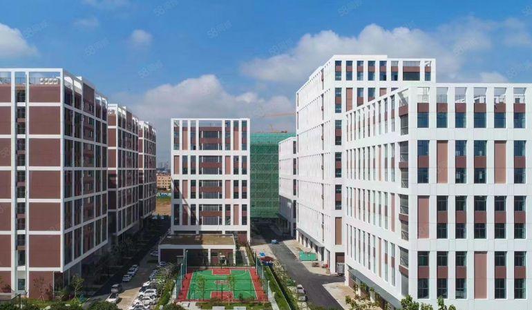 10元起租，5吨货梯，原房东2610平整层全新厂房出租