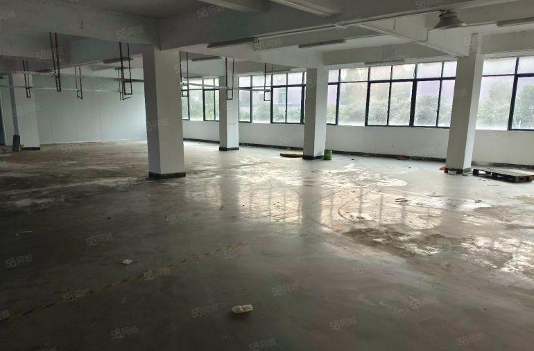 寮步上屯标准厂房二楼600平方 现成装修