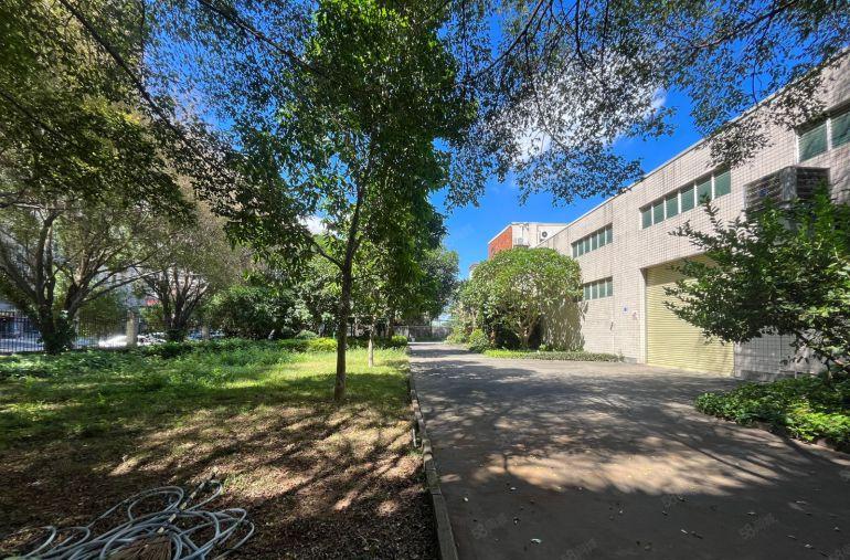 寮步镇独院厂房出租花园式单一层独院，空地超大水电齐全交通便利