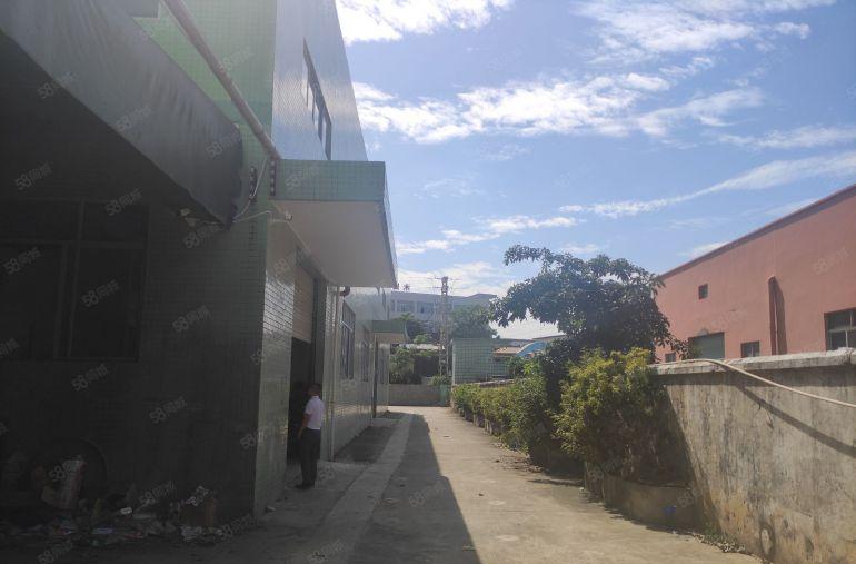 滴水8米独院厂房低价出租好进大车适合机械五金模具塑胶设备纸箱