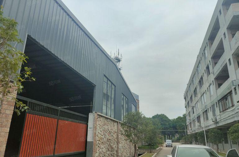 寮步原房东单一层全新独院1500平低价出租