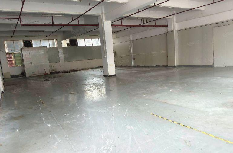 寮步西溪标准独院厂房一楼550平方出租 现成水电办公室