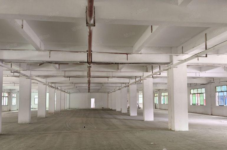 上屯高速路口标准厂房一整层3100平，特价12元，可办环评