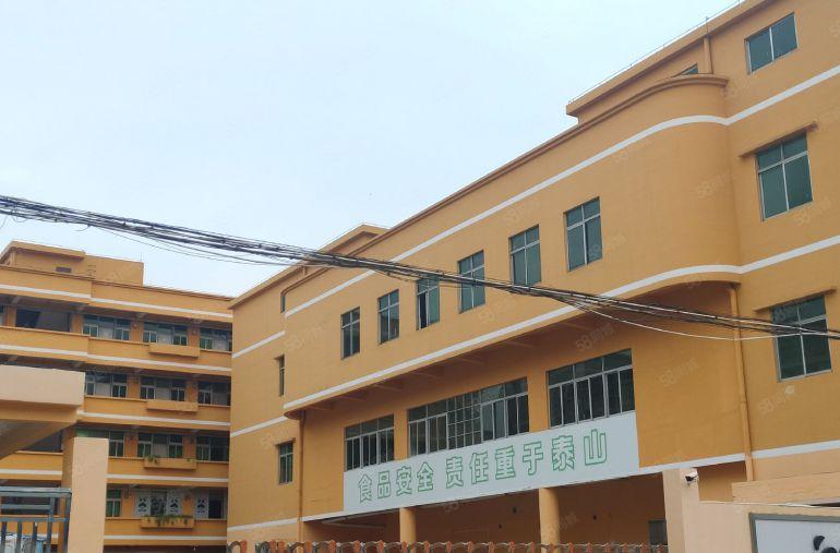 寮步 向西 路口 小厂房 700平方,8元急租！好招工