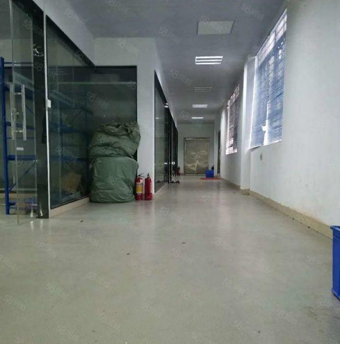 寮步 下岭贝 一楼 厂房 800平方本厂房,价格便宜，急租!