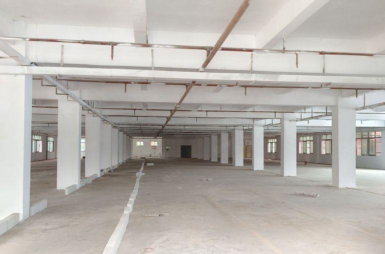 上屯高速路口标准厂房一整层3100平，特价12元，可办环评