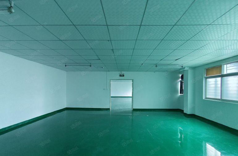 凤岗雁田700平厂房出租低价16元豪华装修超长免租期