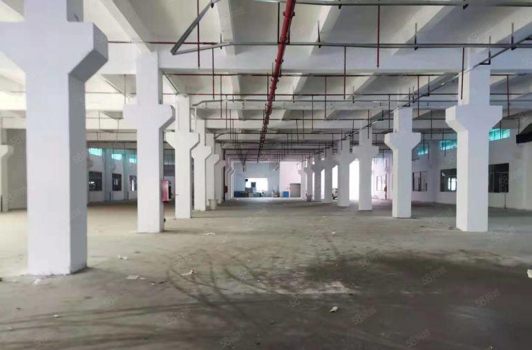 凤岗一楼6.5米高3000平带牛角空地大厂房仓库低价出租