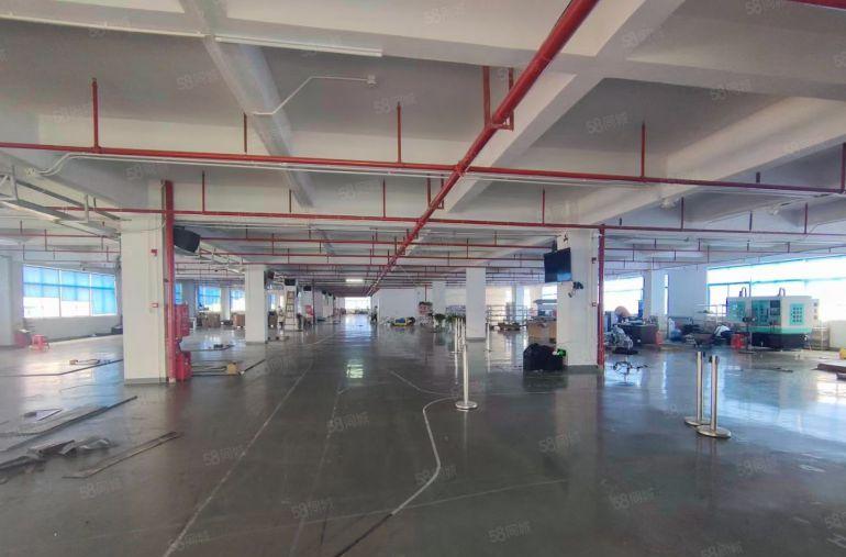 凤岗金凤凰带精装修二楼2000平方厂房出租