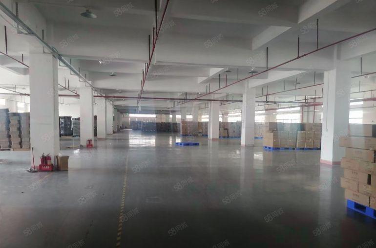 凤岗金凤凰带精装修二楼2000平方厂房出租