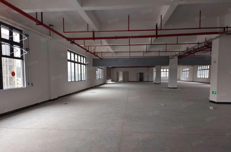 大小分租 有红本凤岗镇中心 全新独院厂房出租15300平