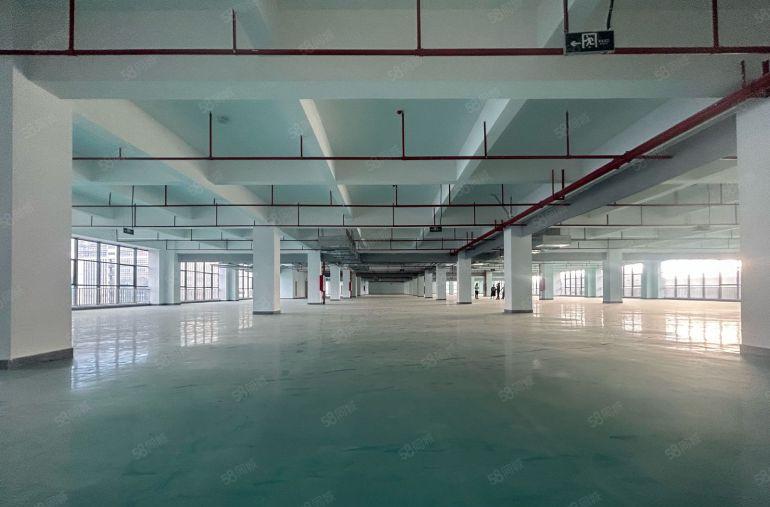 租金10元起可分租凤岗红本厂房低价出租5000平好招工