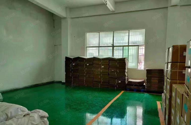 凤岗雁田原房东一楼600平方厂房仓库出租