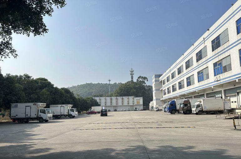 凤岗高速出口12000平带卸货平台单层40000平大小分租