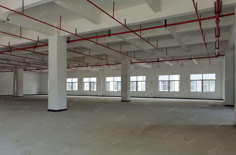 10元起租凤岗雁田独栋厂房出租12000平主干道边上空地大