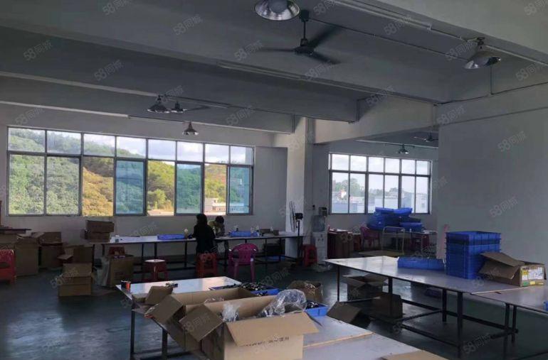 原房东3000平方米低价独院厂房）凤岗新出经典小独院厂房