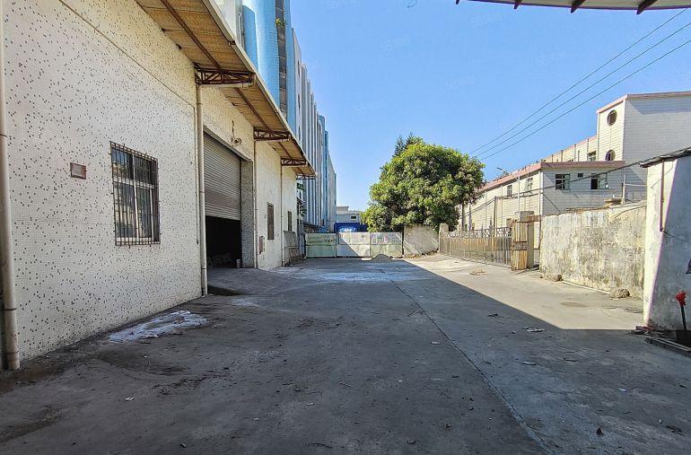 凤岗竹塘独门独院钢构2700平滴水7米租金24免租期60天