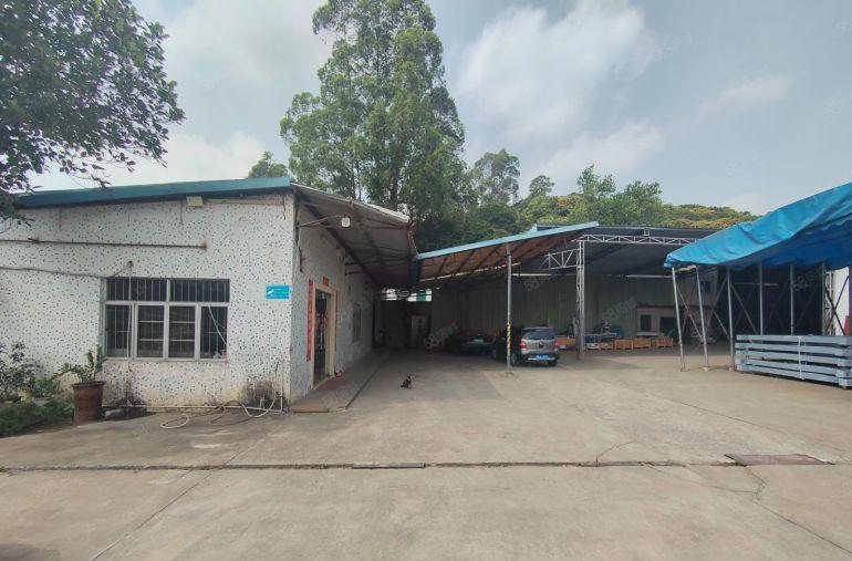 凤岗镇独院钢构2000平米厂房出租，适合仓库，纸箱，打包等