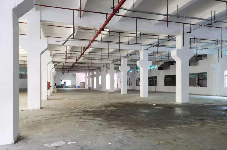 凤岗一楼6.5米高3000平带牛角空地大厂房仓库低价出租