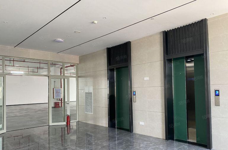 全新现楼红本厂房出租，业主直租，价格透明，1000平起租！